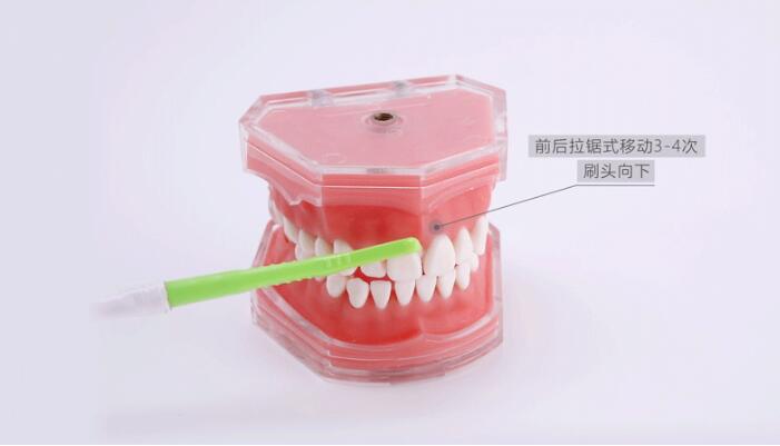 牙間刷怎麼用？牙間刷正確用法介紹